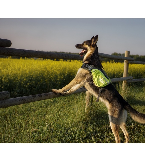 Outward Hound  DayPak Dog Backpack Adjustable Saddle Bag - Picture 2 of 6